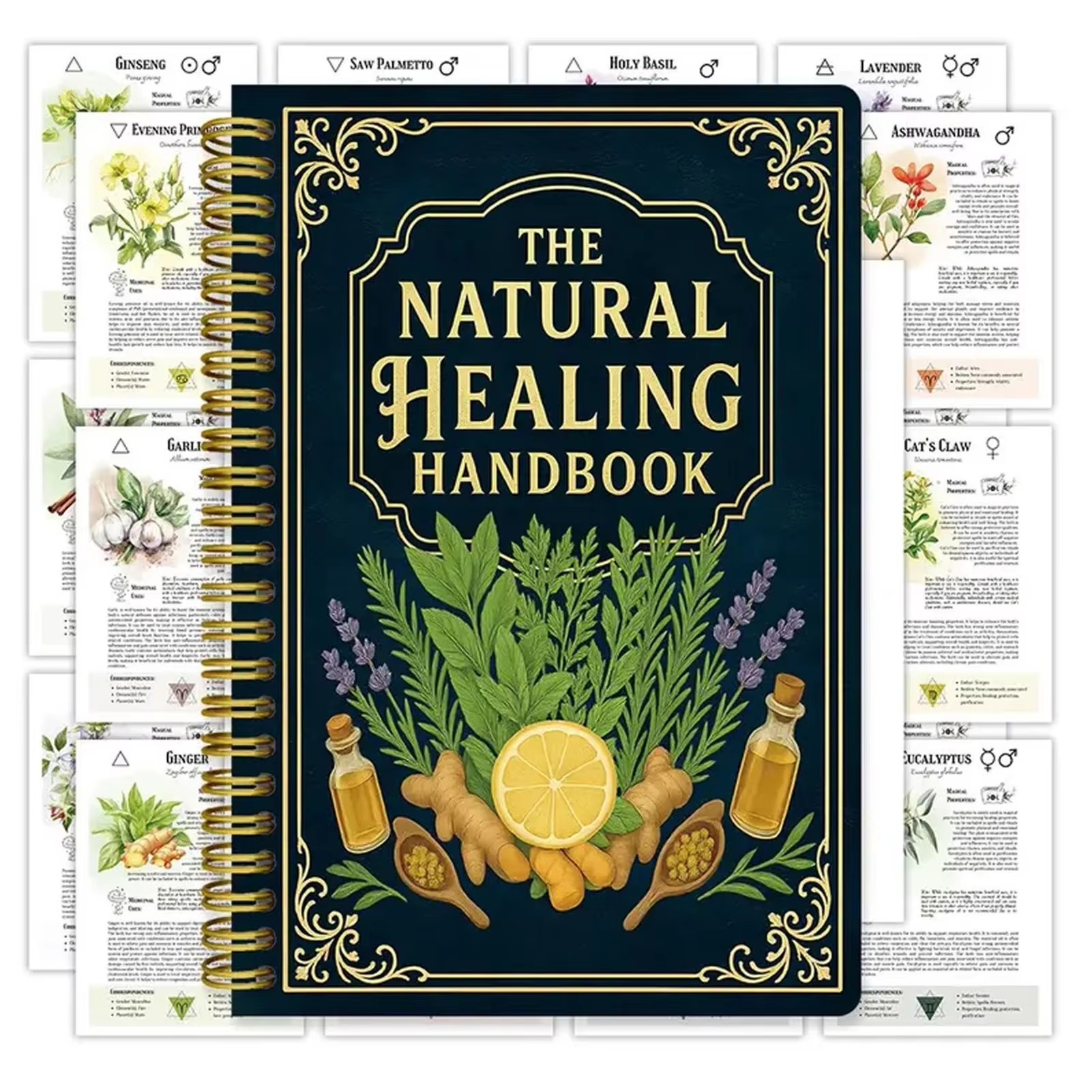 Health & Wellness Therapy Center - Healing Handbook By Luna Filby English