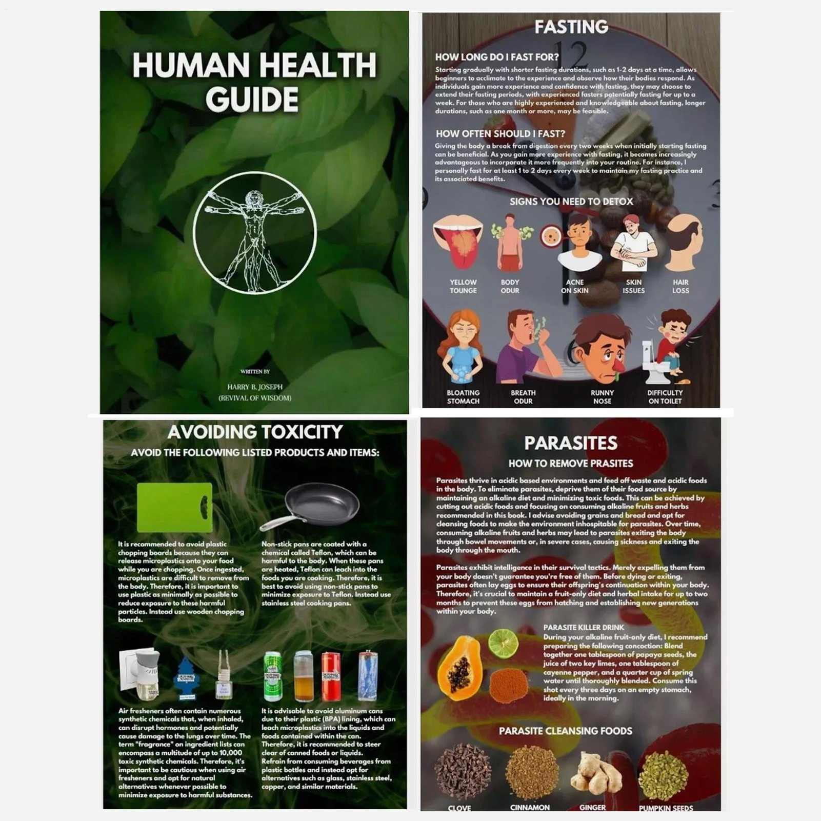 Human Health Guide by Harry B  - Health With Wellness avaliação e preço