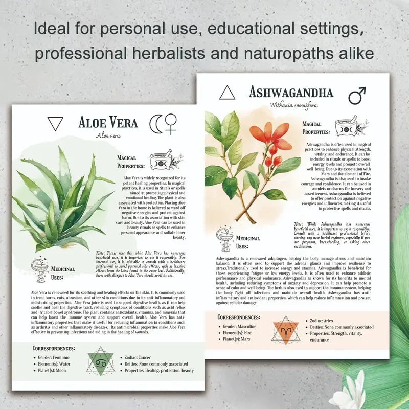 Natural Remedies Handbook with - Health & Wellness Therapy Center avaliação e preço