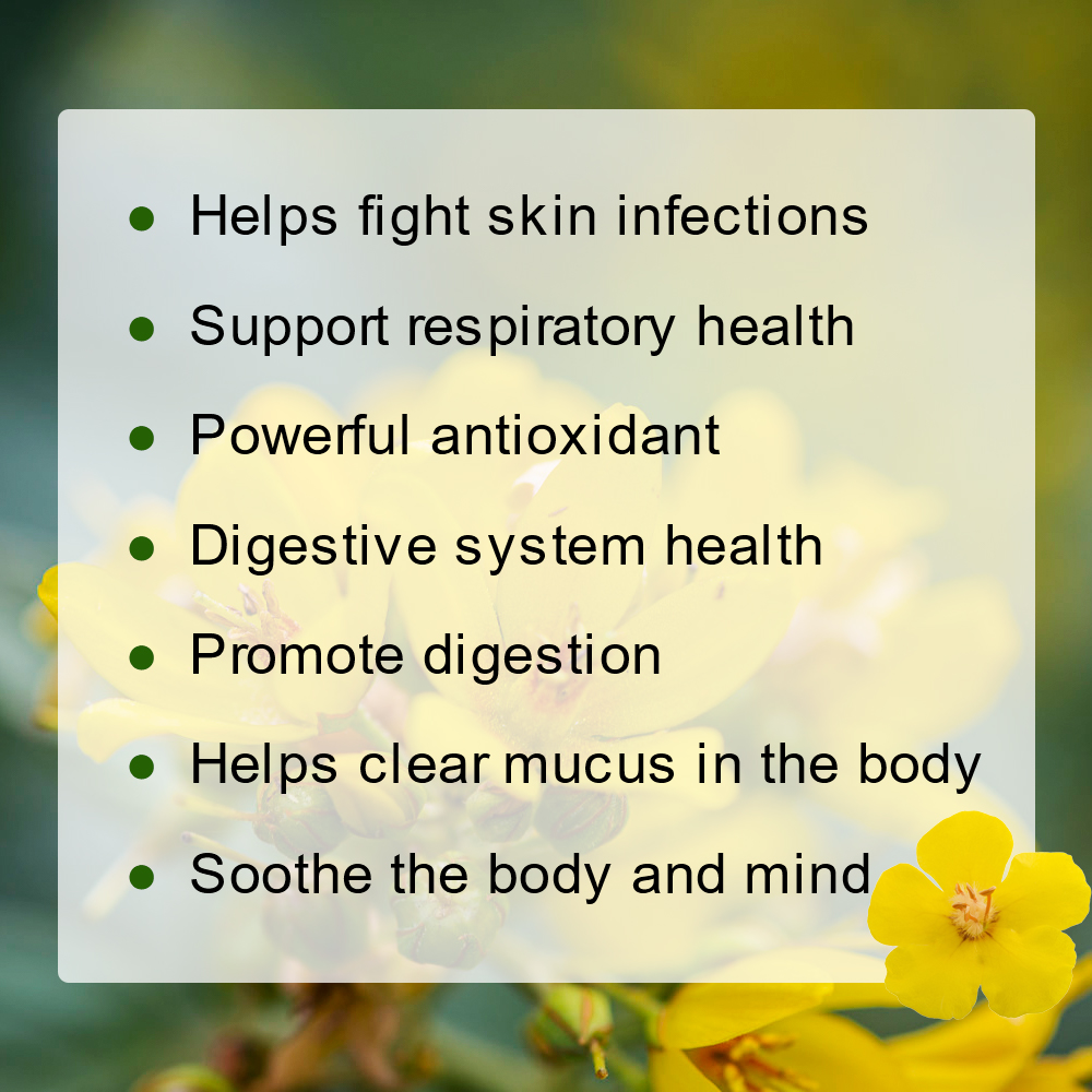 Herbal Tea for Respiratory Sup - Health With Wellness avaliação e preço