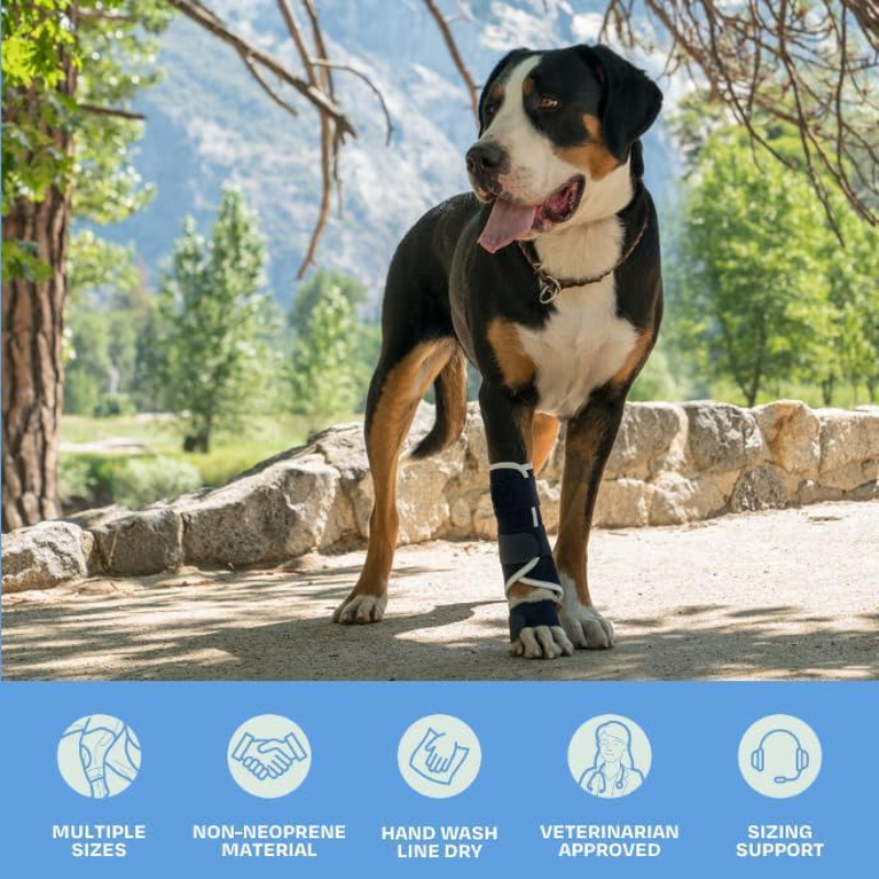 Carpal Hyperextension Dog Brac - Ankle Brace Support avaliação e preço