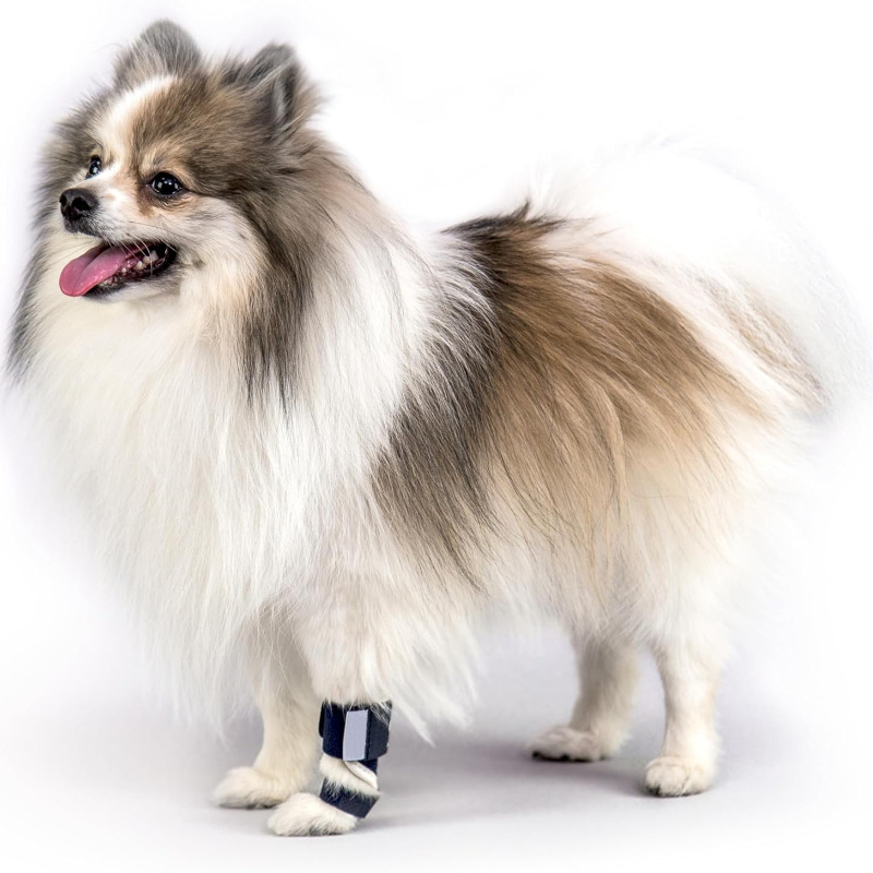 Carpal Hyperextension Dog Brac - Ankle Brace Support avaliação e preço